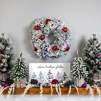 Northlight Snowy Bristle Pine Pre-Lit Wreath