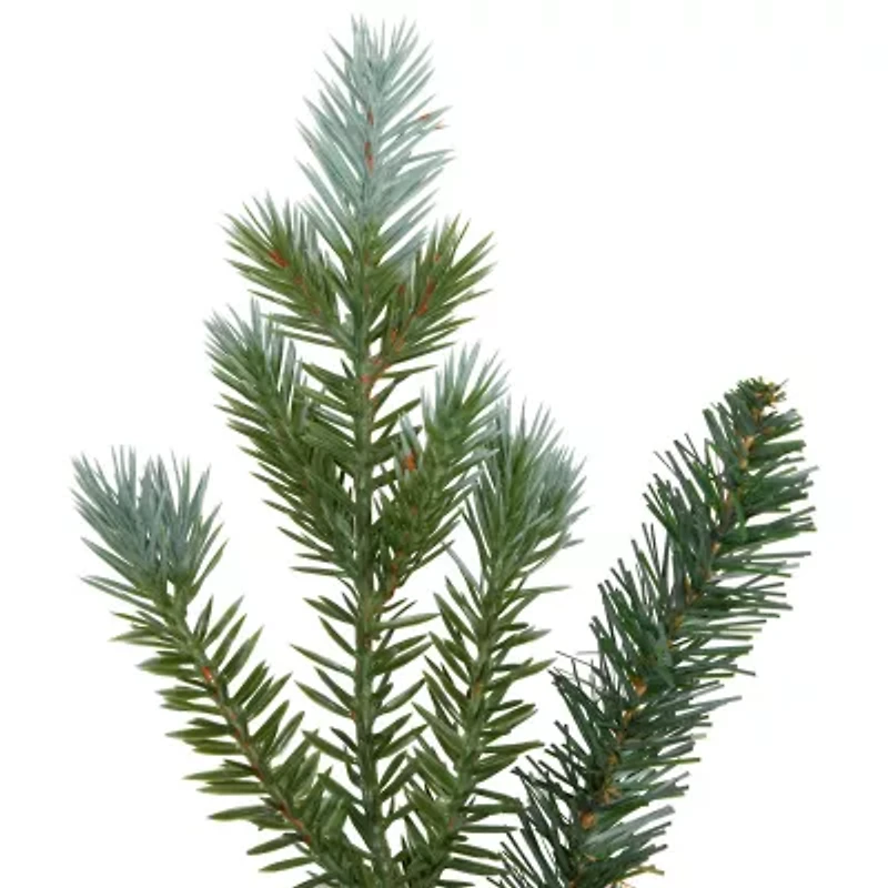 Northlight 36in Blue Spruce Unlit Wreath