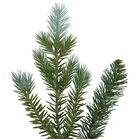Northlight 36in Blue Spruce Unlit Wreath