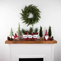 Northlight 24in Iced Cedar Unlit Wreath