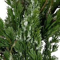 Northlight 24in Iced Cedar Unlit Wreath