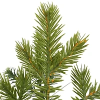 Northlight Frosted Thistle And Pine Wreath