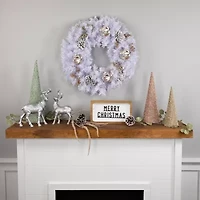 Northlight Icy White Spruce Unlit Wreath