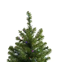 Northlight Canadian Pine With Multicolor Lights 2 Foot Pre-Lit Pine Christmas Tree