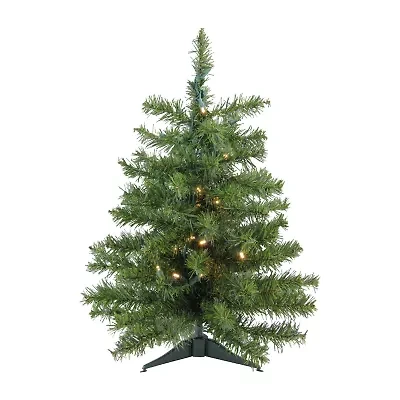 Northlight Canadian Pine With Warm Clear Lights 2 Foot Pre-Lit Pine Christmas Tree