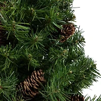 Northlight Full Dakota Pine Unlit 2 Foot Pine Christmas Tree