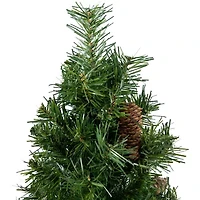 Northlight Full Dakota Pine Unlit 2 Foot Pine Christmas Tree
