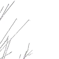 Northlight White Birch With White Lights 6 Foot Pre-Lit Birch Christmas Tree