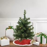 Northlight Medium Canadian Pine With Clear Led Lights 1 1/2 Feet Pre-Lit Pine Christmas Tree