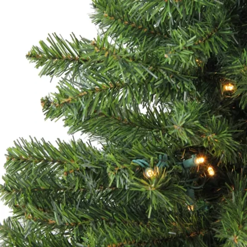 Northlight Medium Canadian Pine With Clear Led Lights 1 1/2 Feet Pre-Lit Pine Christmas Tree