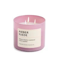 Distant Lands Amber Suede 3-Wick Scented Jar Candle