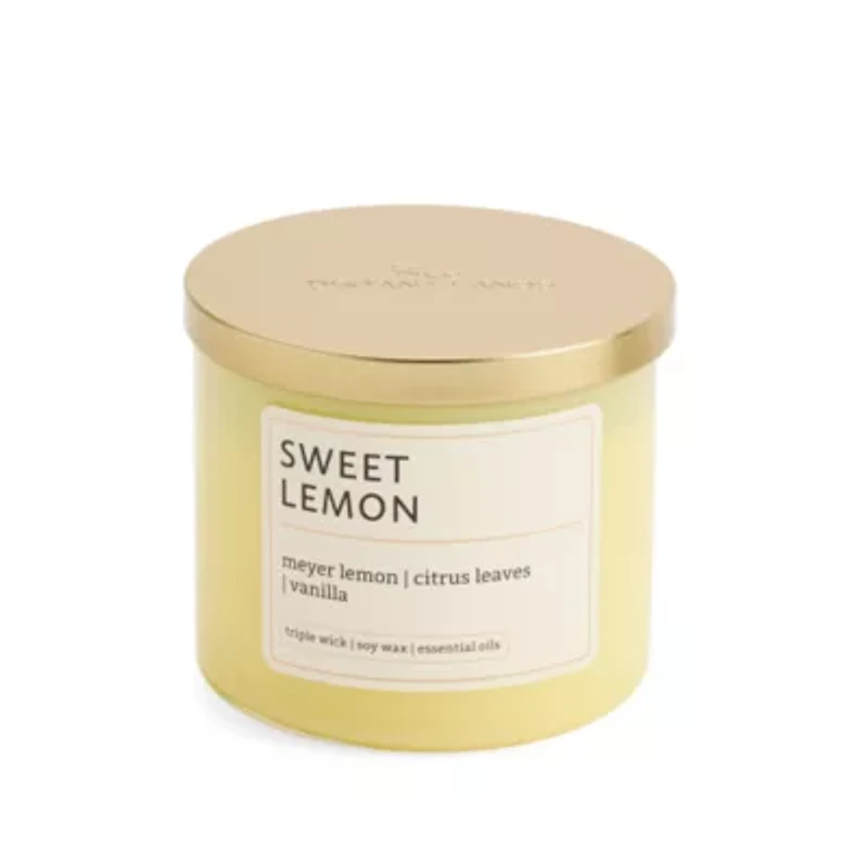 Distant Lands Sweet Lemon 3-Wick Scented Jar Candle