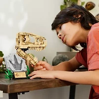 LEGO® Jurassic World Dinosaur Fossils 76964 Building Blocks 577-pc.