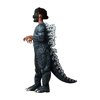 Little & Big Kid Unisex 4-pc. Costume