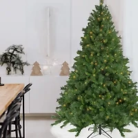 6.5' Pre-Lit Chatham Pine Artificial Christmas Tree  Clear Lights