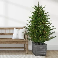 6' Pre-Lit Potted Deluxe Russian Pine Artificial Christmas Tree  Warm White LED Lights
