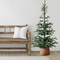 6.5' Pre-Lit Nordmann Fir Artificial Christmas Tree  Warm Clear LED Lights