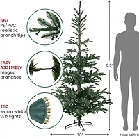 6.5' Pre-Lit Nordmann Fir Artificial Christmas Tree  Warm Clear LED Lights
