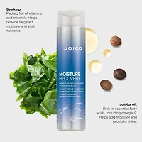 Joico Moisture Recovery Shampoo 10.1 oz.