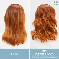 Biolage Earthday Volume Boost 2-pc. Value Set