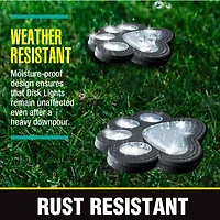 Bell + Howell Solar Powered Paw Print Disk Lights - 4 Pack