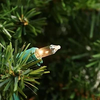 Northlight Canadian Pine With Clear Lights Wreath