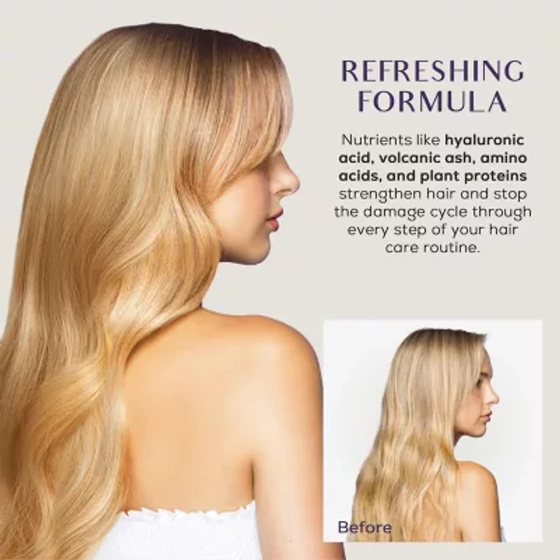 SUTRA® BEAUTY Dry Shampoo 8 oz.