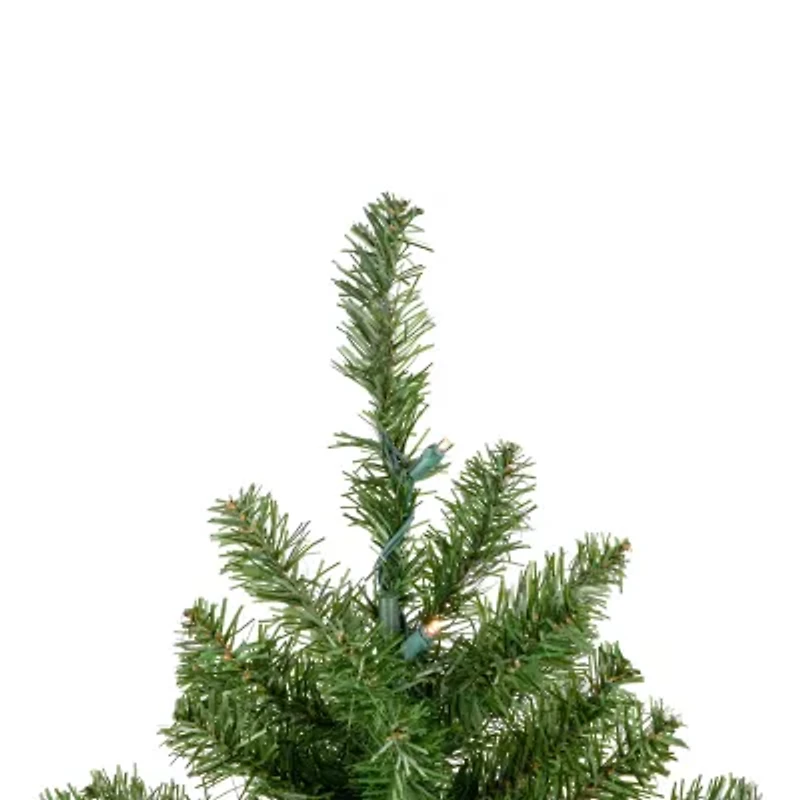 Northlight Canadian Pine With Warm Clear Lights 2 Foot Pre-Lit Pine Christmas Tree