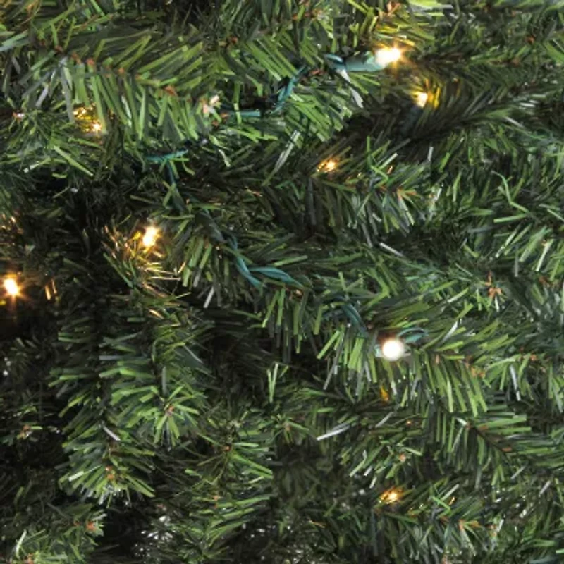 Northlight Canadian Pine With Warm Clear Lights 2 Foot Pre-Lit Pine Christmas Tree