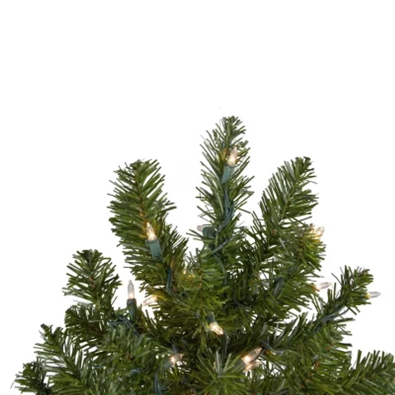 Northlight Pre Lit Canadian Pine 2 Foot Pre-Lit Pine Christmas Tree