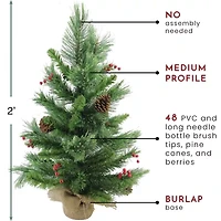 Northlight Mixed Cashmere Berry Unlit 2 Foot Pine Christmas Tree