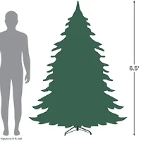 Northlight Full Hunter Fir With Clear Lights 6 1/2 Foot Pre-Lit Fir Christmas Tree
