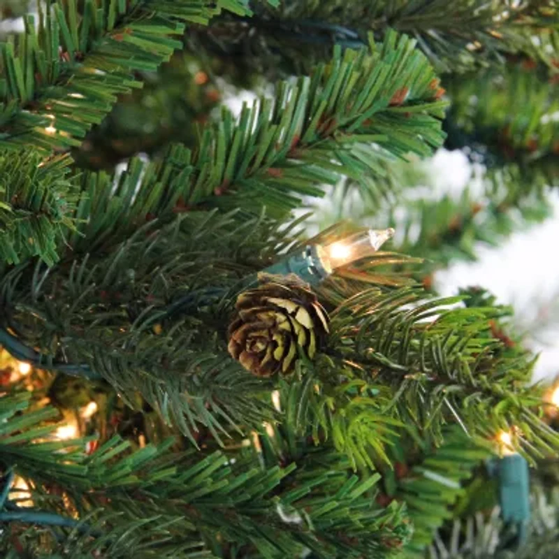 Northlight Full Hunter Fir With Clear Lights 6 1/2 Foot Pre-Lit Fir Christmas Tree