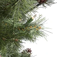 Northlight Mixed Pine With Clear Lights 3 Foot Pre-Lit Christmas Tree