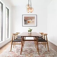 Loloi Anastasia Indoor Rectangular Accent Rug