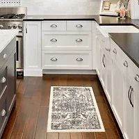 Maples Persian Distressed Indoor Rectangular Accent Rug