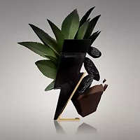 Carolina Herrera Bad Boy Eau De Toilette