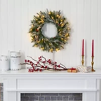 Nearly Natural 24in. Snowed With 50 Warm White Led Lights And Pine Cones Pre-Lit Wreath