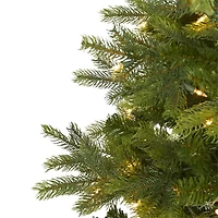 Nearly Natural 4 Foot North Carolina Spruce With 207 Bendable Branches And 100 Clear Lights Pre-Lit Christmas Tree