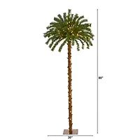 Nearly Natural 5 Foot Christmas Palm With 150 Warm White Led Lights Pre-Lit Tropical Christmas Tree