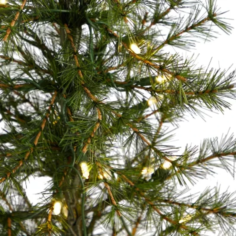 Nearly Natural 3 Foot Pine In A Burlap Base With 50 Clear Led Lights Pre-Lit Christmas Tree