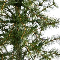 Nearly Natural 3 Foot Pine In A Burlap Base With 50 Clear Led Lights Pre-Lit Christmas Tree