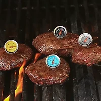 Escali AHS1-4 Easy Read Steak Thermometer set