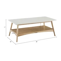 Madison Park Avalon Living Room Collection Storage Coffee Table