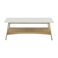 Madison Park Avalon Living Room Collection Storage Coffee Table