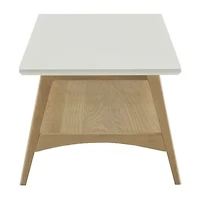 Madison Park Avalon Living Room Collection Storage Coffee Table