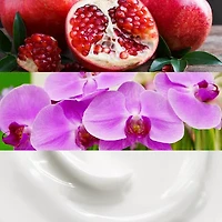 Calvin Klein Euphoria For Women Eau De Parfum