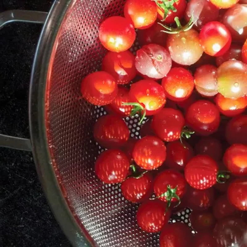 Design Imports Precision Pierced 5-qt. Colander