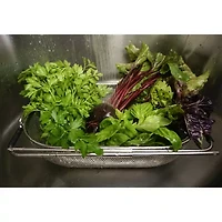 Design Imports Pierced In-Sink Drainer