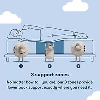 Serta Classic 12" Firm Foam Mattress a Box